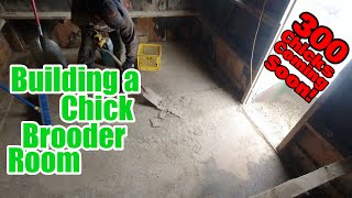 Building a Chick Brooder Room!
