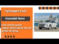 Hydrogen-fueled Hyundai Nexo (only emits water vapor and cleans the air while driving)