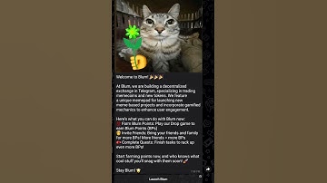 Blum listing date in October | Blum airdrop | Blum Price |