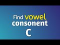 C Program to Check Whether a Character is a Vowel or Consonant