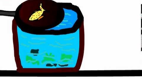 Adobe Flash Professional CS5.5 - Jumping Fish Short Animation