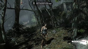 GTX 960 4GB TOMB RAIDER ULTRA SETTINGS 1080P 60FPS
