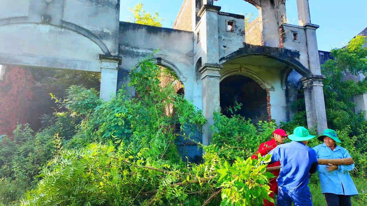 Столетний дом, когда-то забытый, — вот как мы возвращаем его к жизни