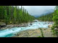 Beautiful nature river flowing in canada 4k relaxing river sounds nature white noise for sleeping