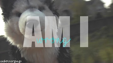 am i wrong wmv  // mep part