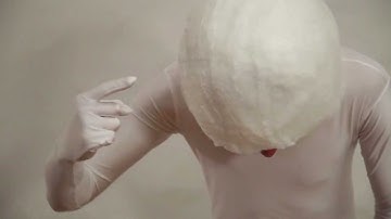 The Q-tips® cotton swab