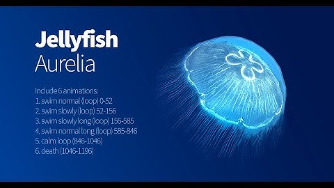 Jellyfish Aurelia ver 2.0