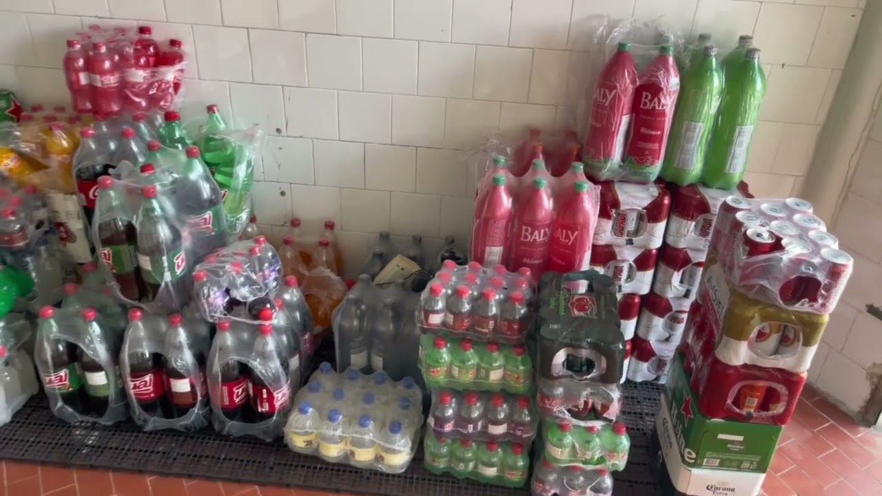 Primeira Semana de Distribuidora Começando do Zero