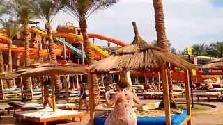 Albatros Aqua Blu Sharm (территория отеля)