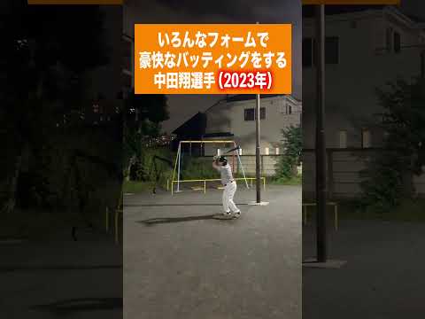 いろんなフォームで豪快なバッティングをする中田翔選手