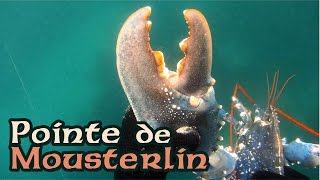 Pointe de Mousterlin - homard, soles, araignées, congre - Nokill