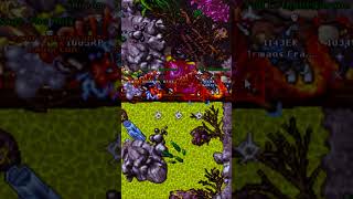 👮🏻No Escape👮🏻 - Top Lvls💀 [TIBIA] 4K #tibia #tibiapk #tibiapvp #gaming #games