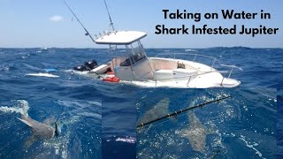 SINKING Boat , SHARK Frenzy and Near Brawl While Commercial Fishing