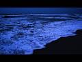 It’s Late… Can’t Sleep? 🌙 Let the Ocean Calm You (24/7 Deep Sleep Live)