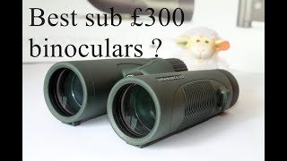 Mastering Birdwatching with Hawke Endurance ED 8x42: Unbeatable sub £300 Binoculars