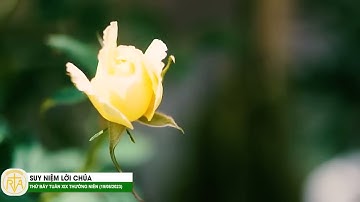 Nghe giảng Lễ Thứ Bảy tuần XIX Thường Niên