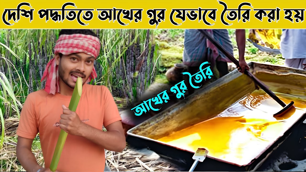 আখের গুড় কিভাবে তৈরি হয় | sugarcane molasses recipe | akher gur ...