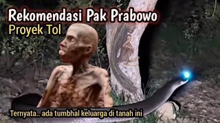 LIVE MISTERI || DI LUAR NALAR TERNYATA TUMBHAL DI DALAM POHON