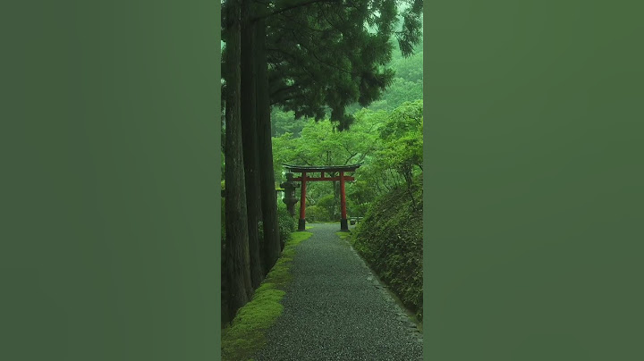 Ancient Japanese Forest Temple: 1000-Year-Old Moss Paradise Will Leave You Speechless