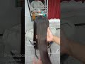 hasil smoothing glossy pada rambut bekas bleaching sendiri dan ditoning sendiri