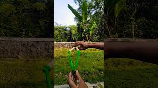 Download Lagu ketapel kayu dan karet balon #fyp #shorts MP3