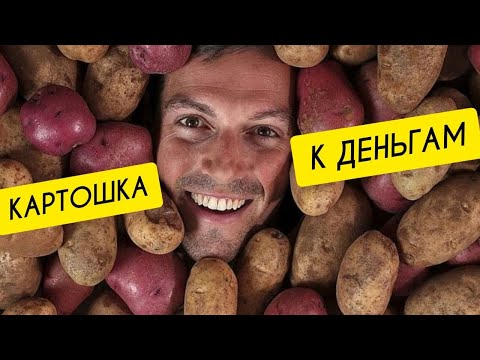 К чему СНИТСЯ КАРТОШКА | СОН сажать картошку | Сонник