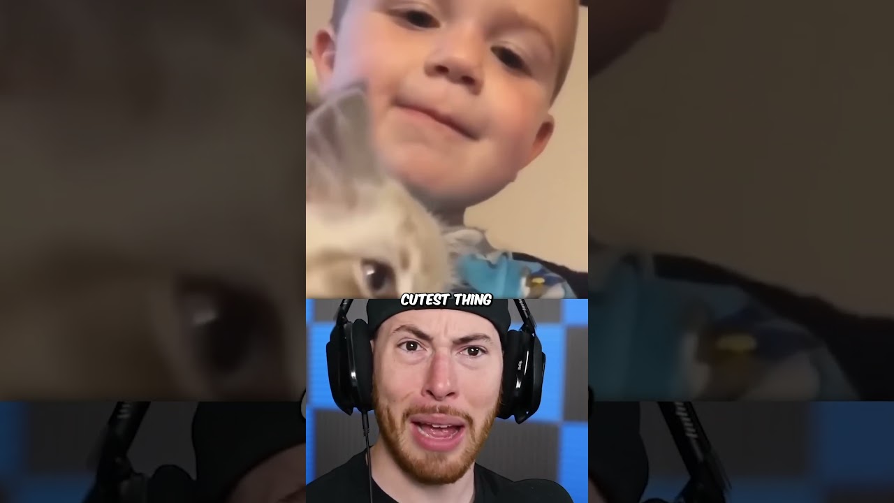 CUTEST CAT EVER