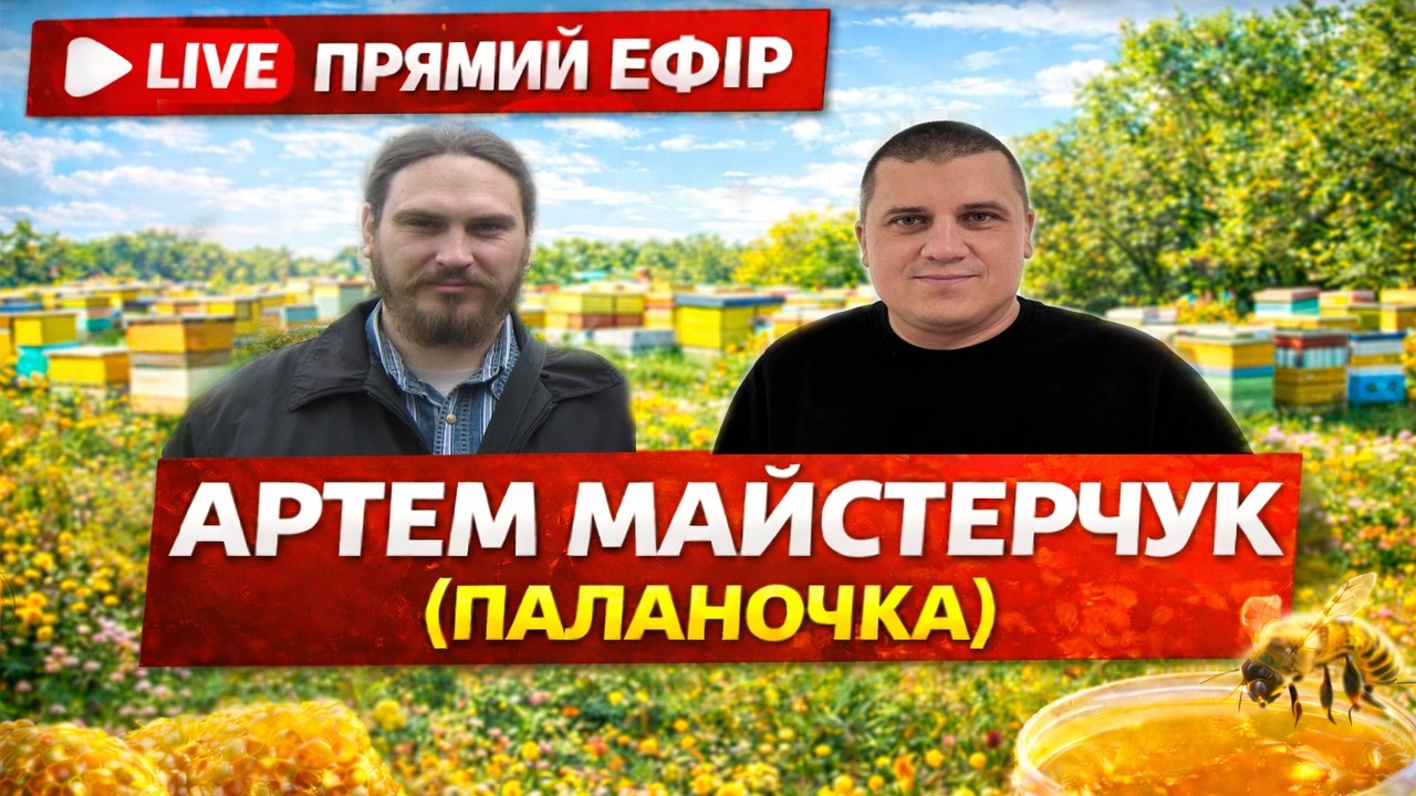 👉 Прямий ефір | Артем Майстерчук (Паланочка)🐝