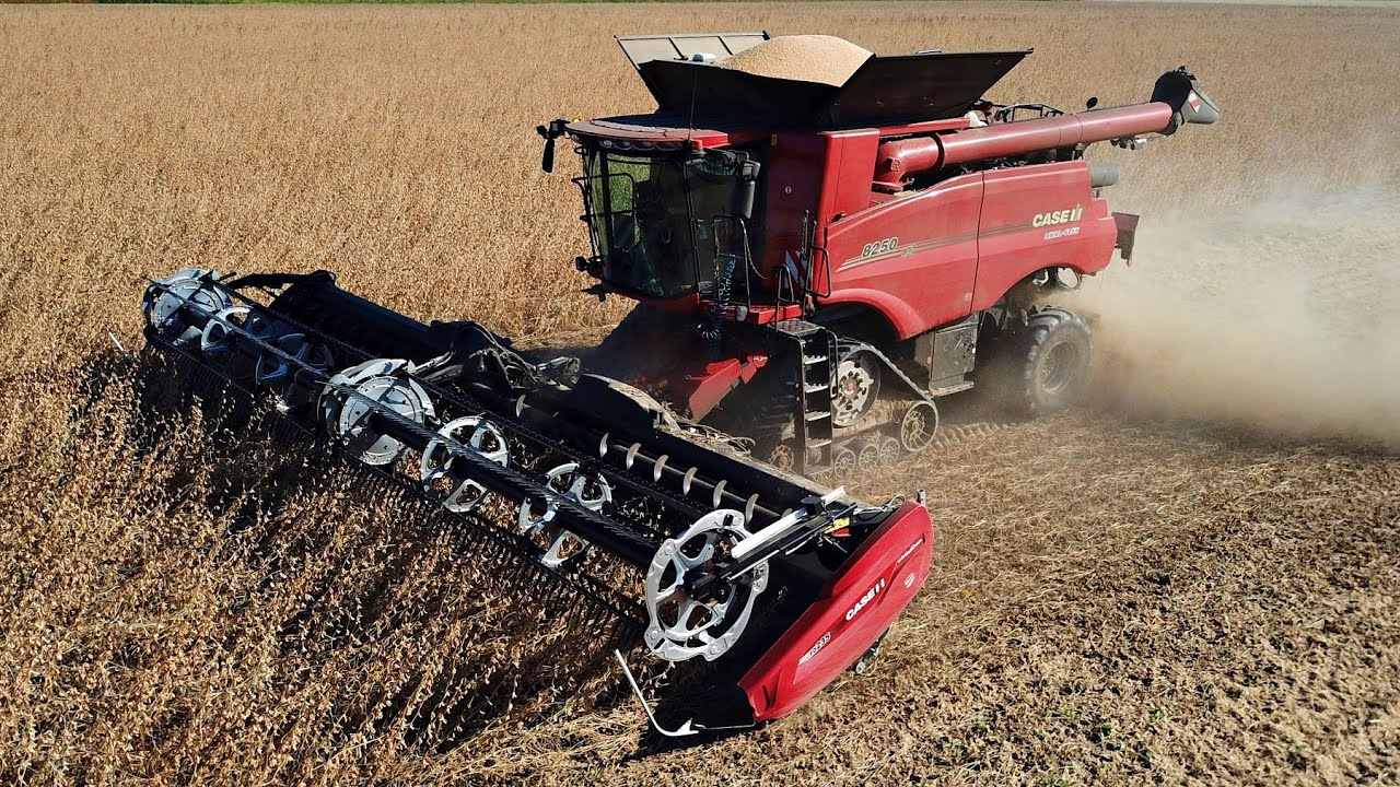 Case IH Axial Flow AF 8250 | MacDon FD 235 | Trebbiatura Soia | Soybean Harvest | Speranza