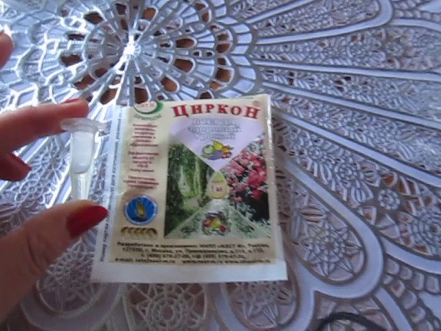 Циркон и Эпин . Как правильно пользоваться.