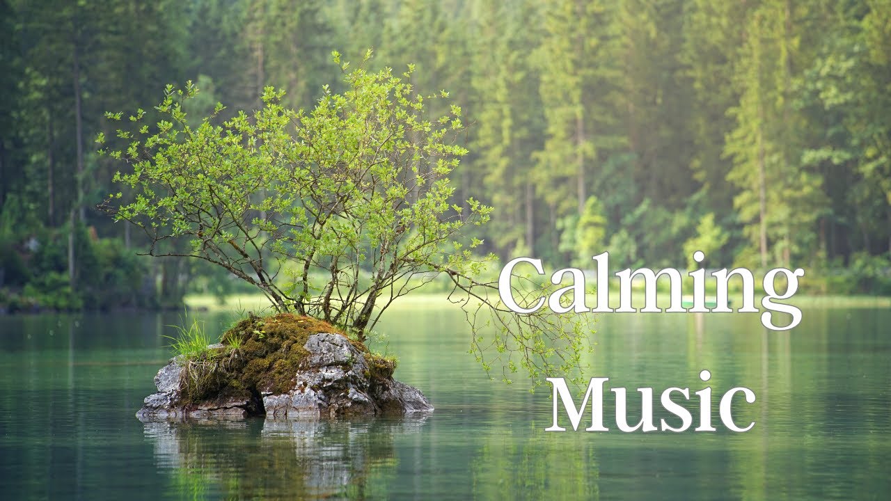 Calming Music to forget the bad Day - Calming soothing Piano Music ...