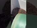 Compost happens