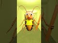 High Speed Chase!! Baldi On A Motorcycle vs Baldi Cockroach! #shorts
