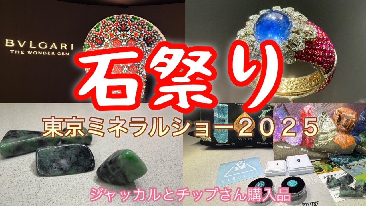 石祭り　東京ミネラルショー2025 お上りさんチップとジャッカルが楽しんできました。