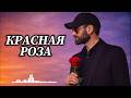 КРАСНАЯ РОЗА Эту Песню Ищут Все Красная роза New 2026 Кавказский хит 2026 