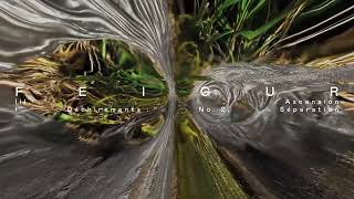 FEIGUR - III, Ascension [Track Premiere] - I Déchirements: No. 2, Séparation