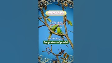ترجمه فارسي سوره مبارک انفال بقره آیات۲۰۷-۲۱۰☝️🤲❤️🕋