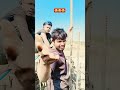 #video  😂#शॉर्ट *वायरल #😂😂