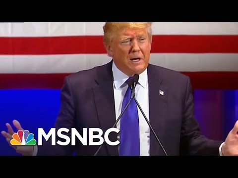 Richard Painter: Donald Trump EPA Chief Actions &ldquo;Disgusting&rdquo; | The Beat With Ari Melber | MSNBC