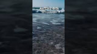 Stay Purepurity allah islam shorts
