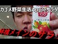 カゴメ　野菜生活100アップルサラダを飲んでみた。りんご味が強い野菜ジュースって野菜と果物どっちなの？