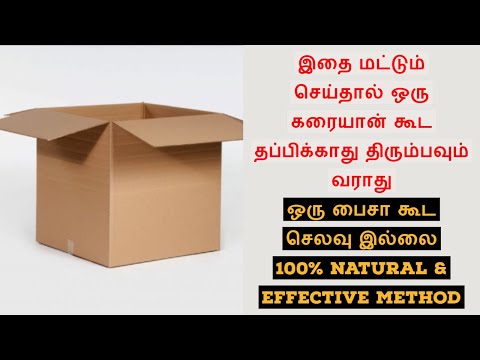 கரையானை ஒழிக்க  இயற்கை வழி|How to Get Rid of Termites at Home Naturally|New Method|F & I Tamil