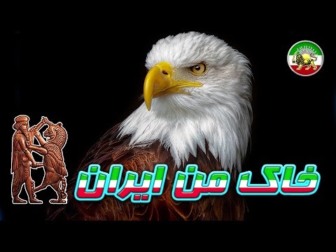 تصویری: پرندگان شکاری سرسفید: گونه ها، زیستگاه، تغذیه و تولیدمثل