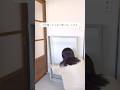 じゃない使い方大成功 #diy #和モダン #築古 #賃貸diy #和室リフォーム #和室 #収納棚 #じゃない方 #セルフリノベーション #模様替え #インテリア #室内装修 #暮らしチャンネル