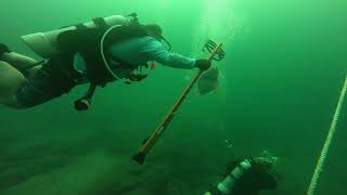 Destin - Bridge Rubble - Shark 2