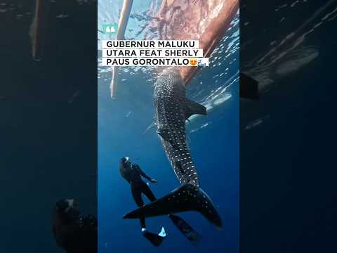 PAUS JUGA TAU MANA YANG TULUS HATINYA😍🐋 #sherlytjoandalaos #gubernurmalukuutara #gorontalo #short