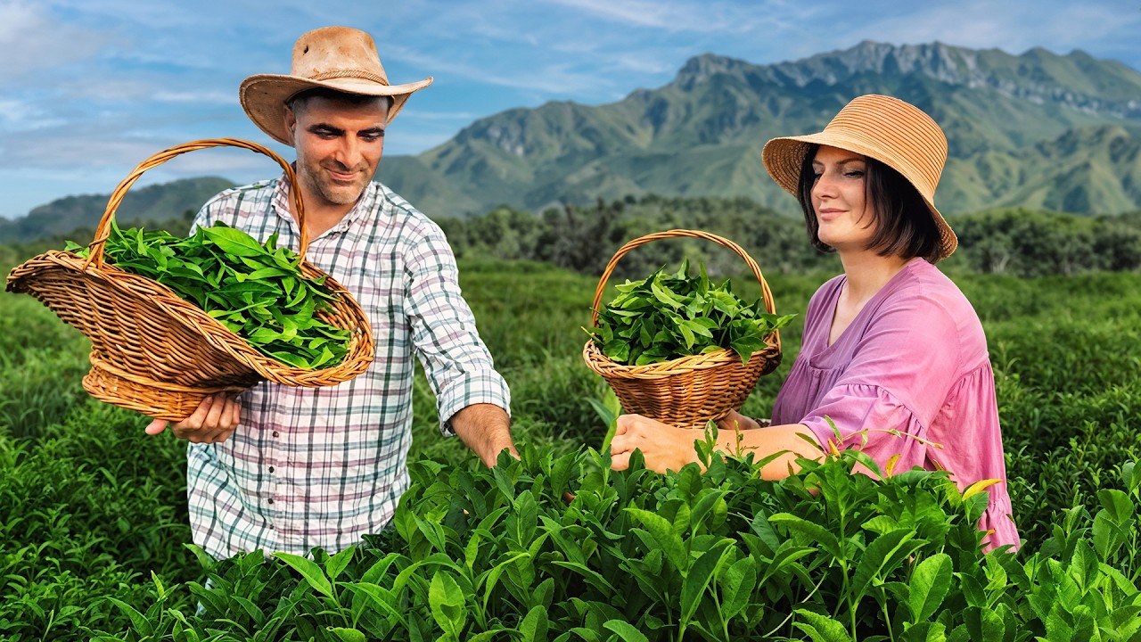 Foraging Wild Tea Leaves in the Mountains – Traditional Village Cooking ...