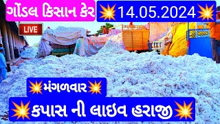 આજના કપાસ ના ભાવ | કપાસ ના બજાર ભાવ | cotton crop price | aaj na kapas na bhav Gondal 11 14/05/2024