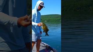 Catching suspended smallmouth with a Damiki Rig & LiveScope - Kyle Patrick #bassfishing #livescope