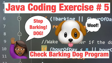 The Barking Dog Java Coding Problem Explained